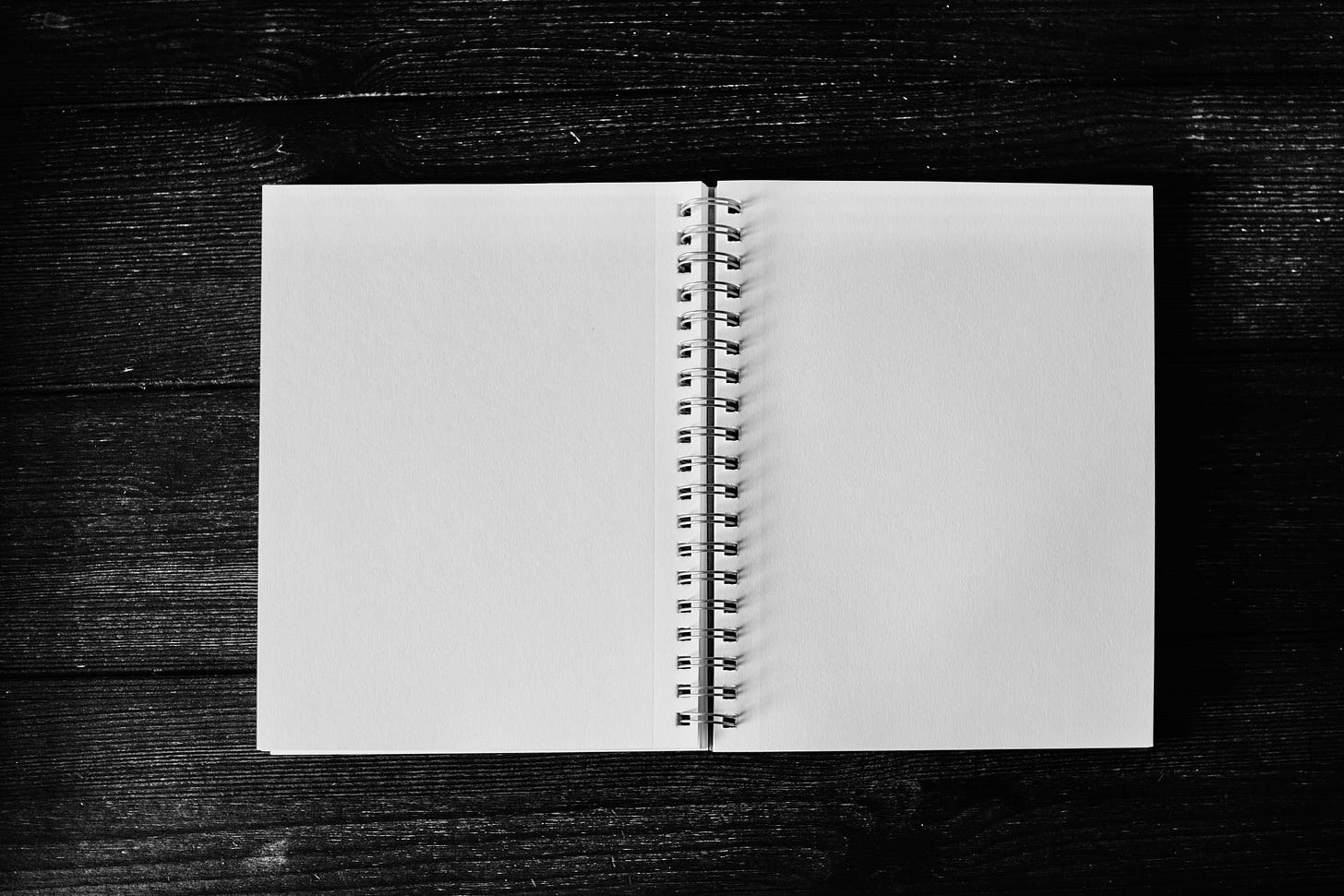 Cover photograph for “Thankful To Have Found Simplicity”