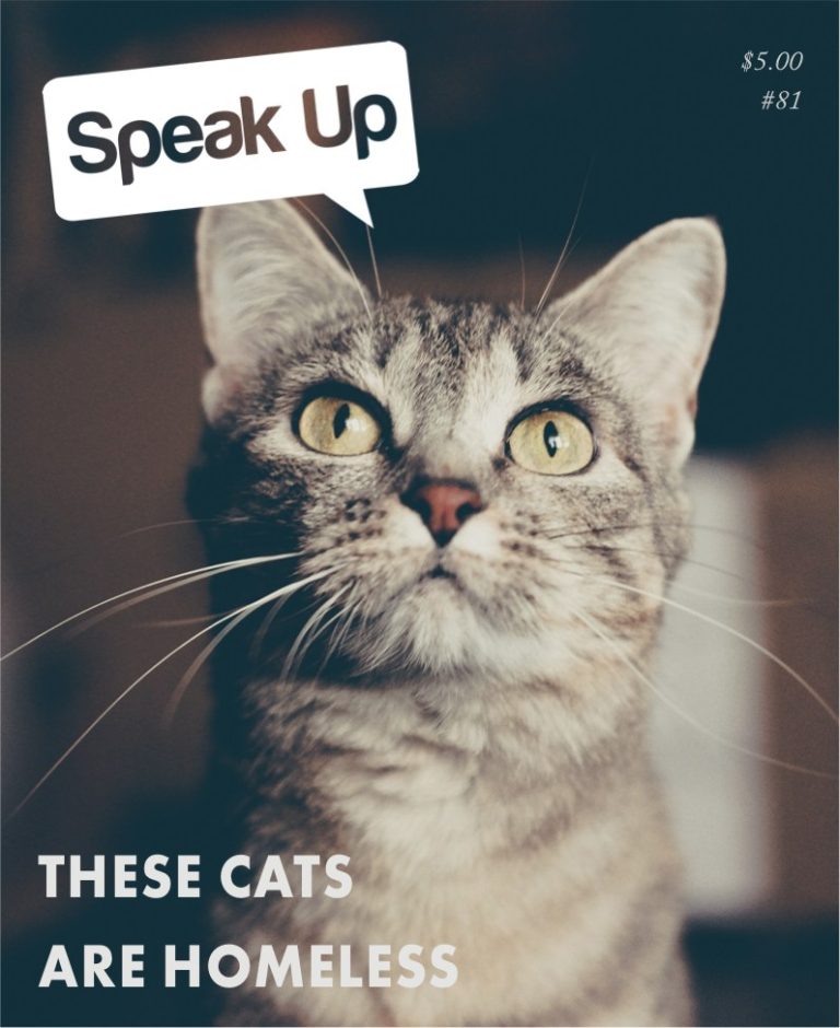 Speak Up cover — These Cats Are Homeless