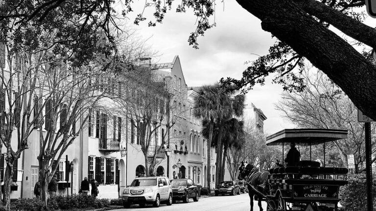 Cover photograph for “Homeless in Charleston”