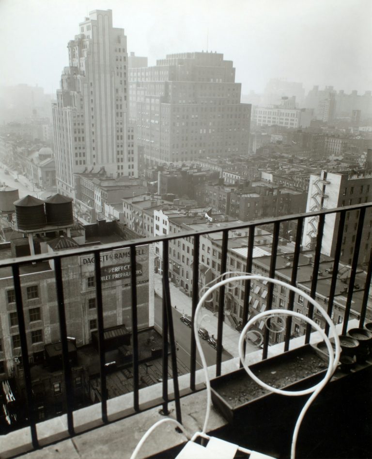 Rooftops, water towers and city blocks seen over an iron railing