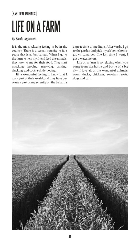 Zine 06, page 14