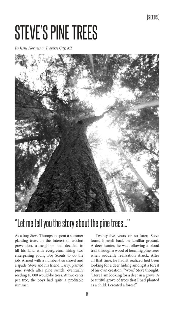 Zine 21, page 17